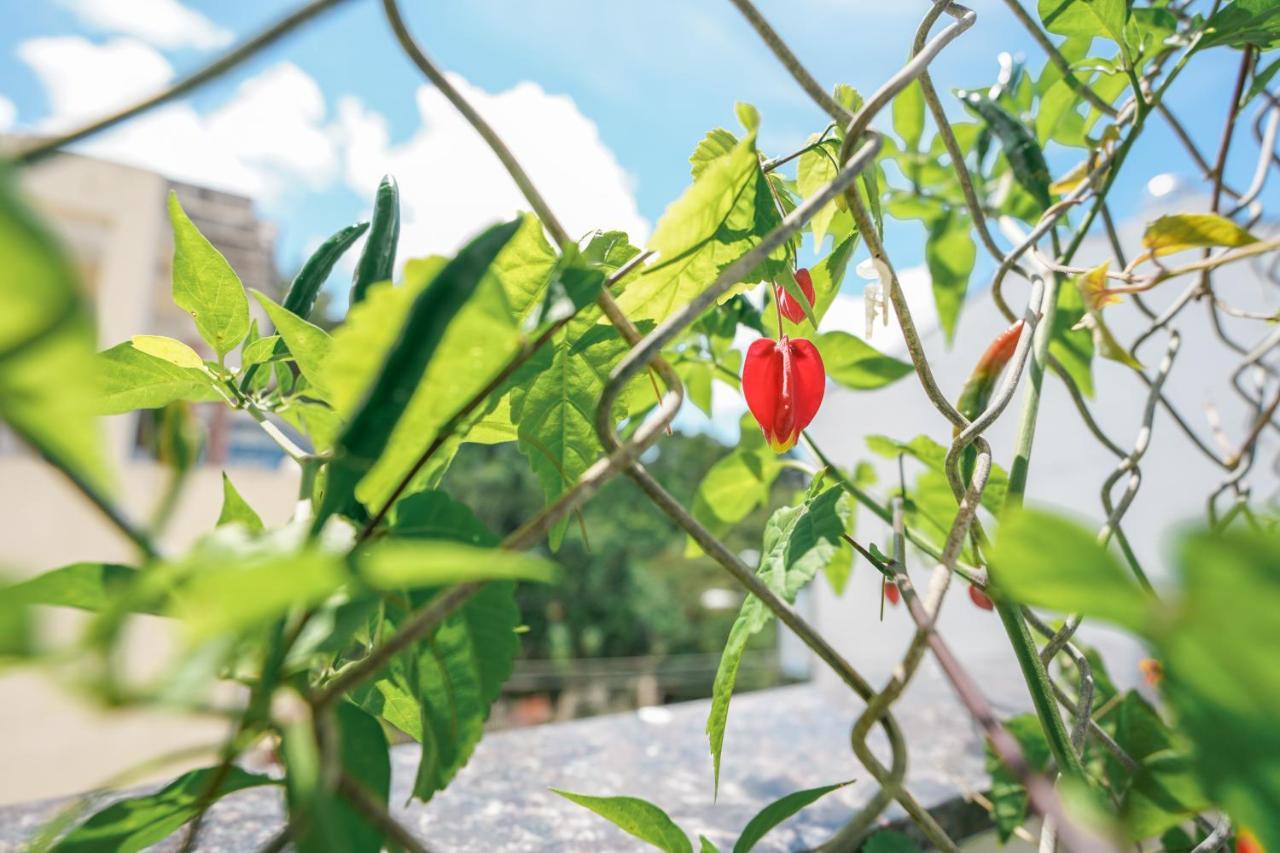 Khách Sạn Thái Hà Đà Lạt Ngoại thất bức ảnh